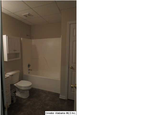 116 Ridgewood Drive Remlap, AL 35133 - Photo 11 of 15