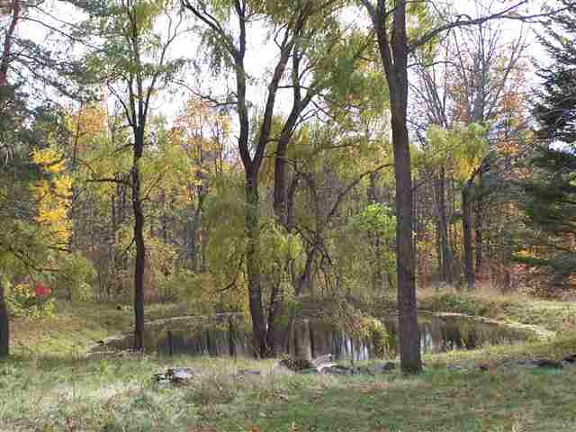 97 Stedman Road Rensselaerville, NY 12083 - Photo 4 of 12 Photo 4