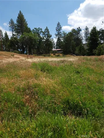 a view of outdoor space with trees all around