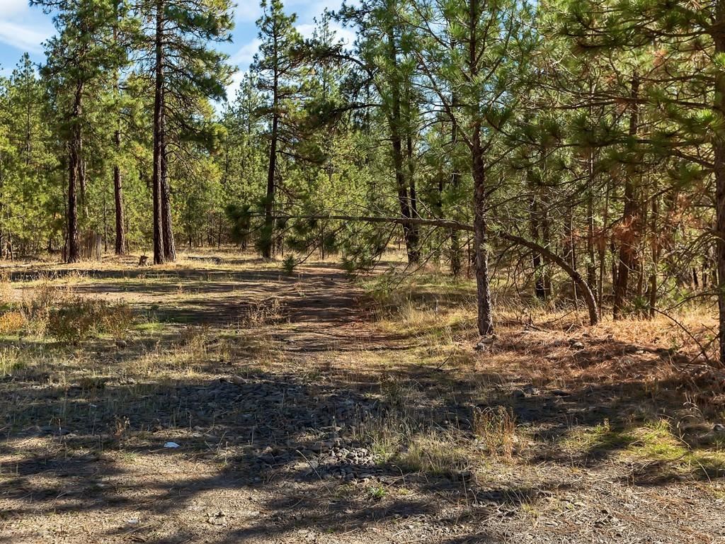 16501 South Sherman Road Cheney, WA 99004 - Photo 19 of 23
