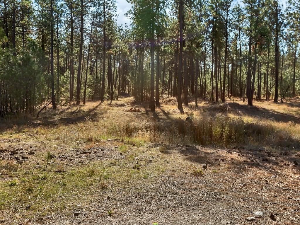 16501 South Sherman Road Cheney, WA 99004 - Photo 20 of 23