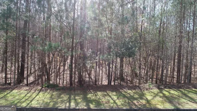 a view of a lake with couches chairs in an outdoor space