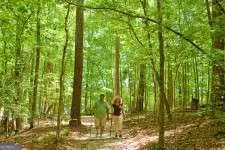 $29,900 | 341 Retreat Trail, LaGrange, GA 30240