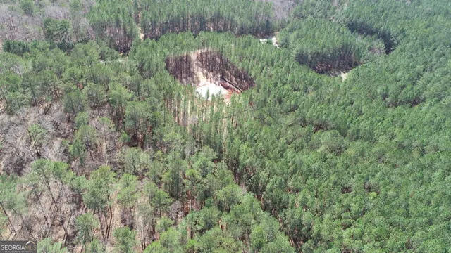 a view of a lush green forest with lush green forest