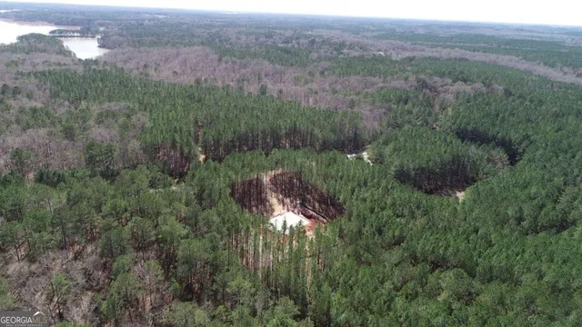 a view of a lush green forest with trees and houses
