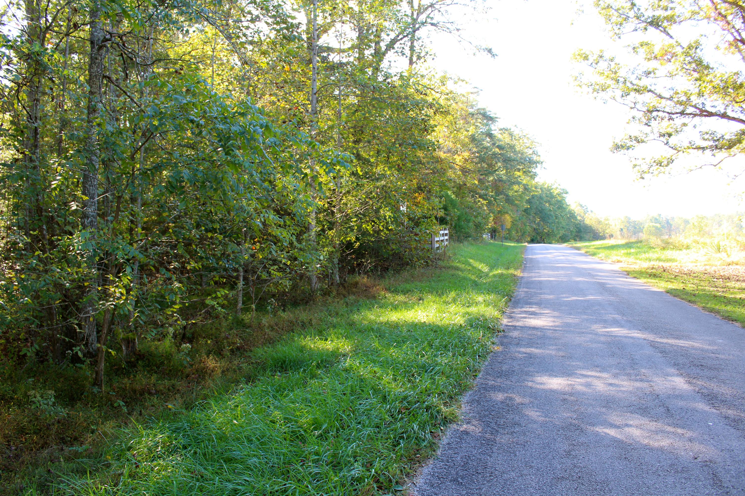 15.73-ac Shirley Road Allardt, TN 38504 - Photo 1 of 36 IMG_9113