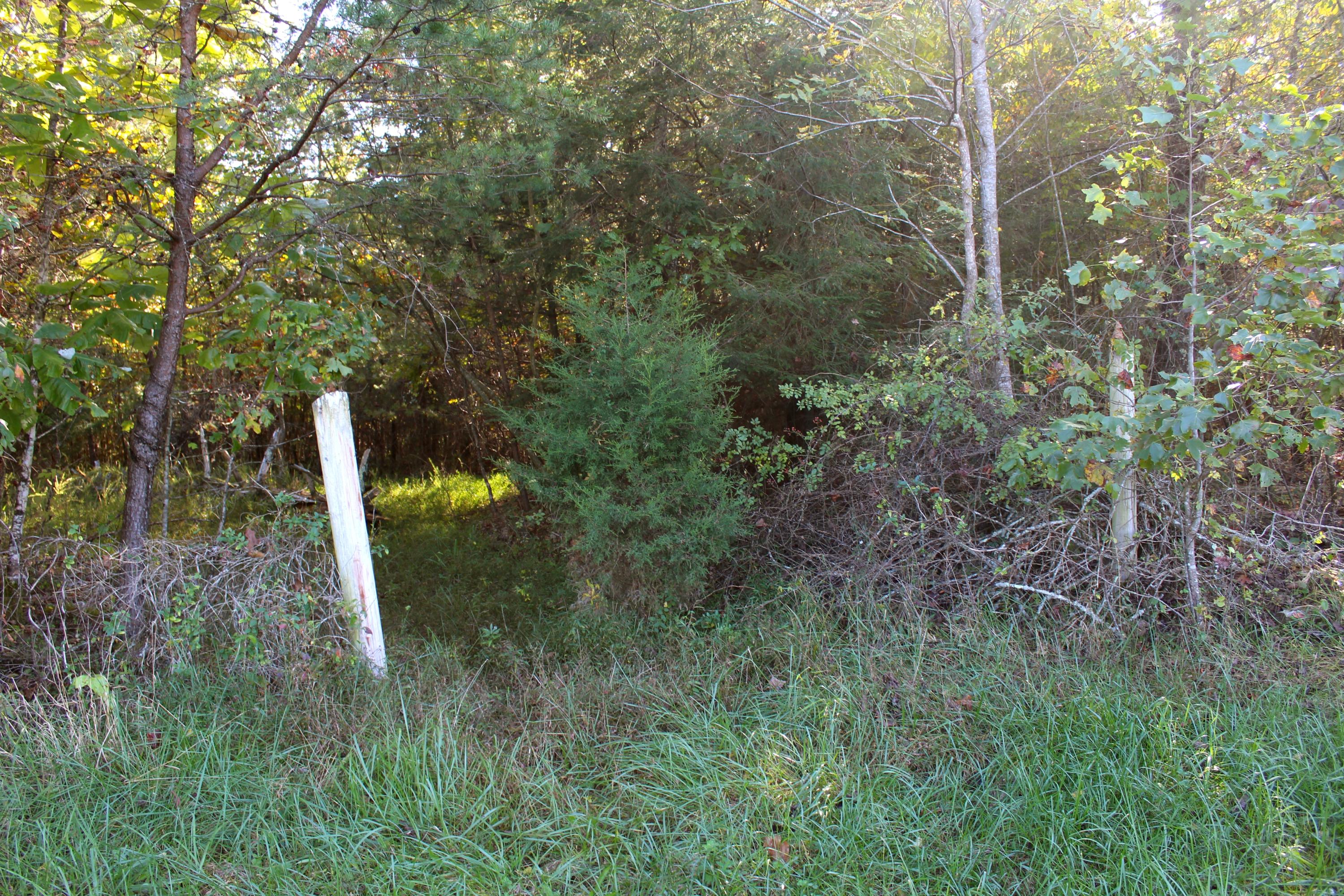 15.73-ac Shirley Road Allardt, TN 38504 - Photo 31 of 36 IMG_9142