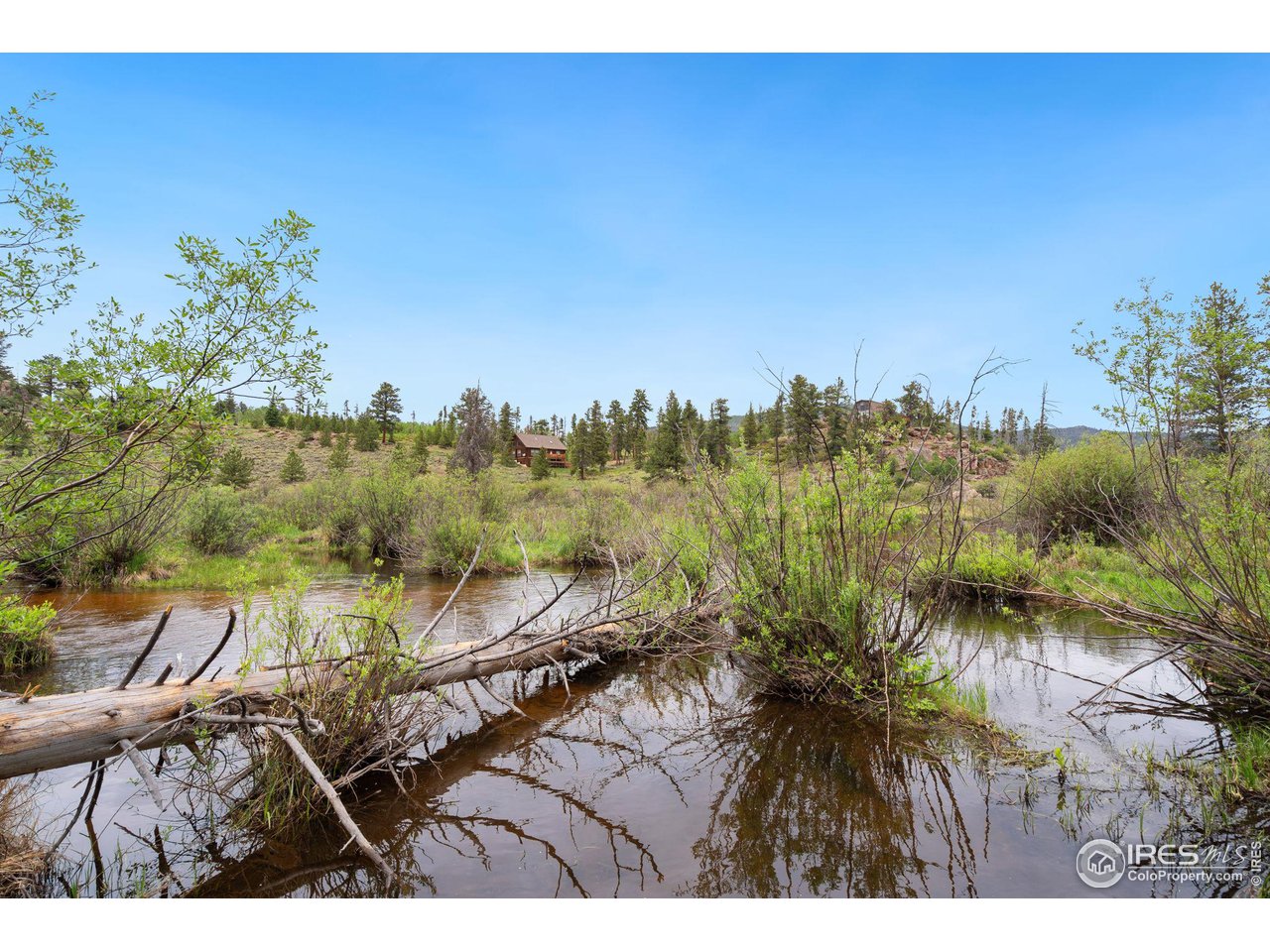 359 Huron Road Red Feather Lakes, CO 80545 - Photo 31 of 35 North Fork River of the Poudre River is right below the property