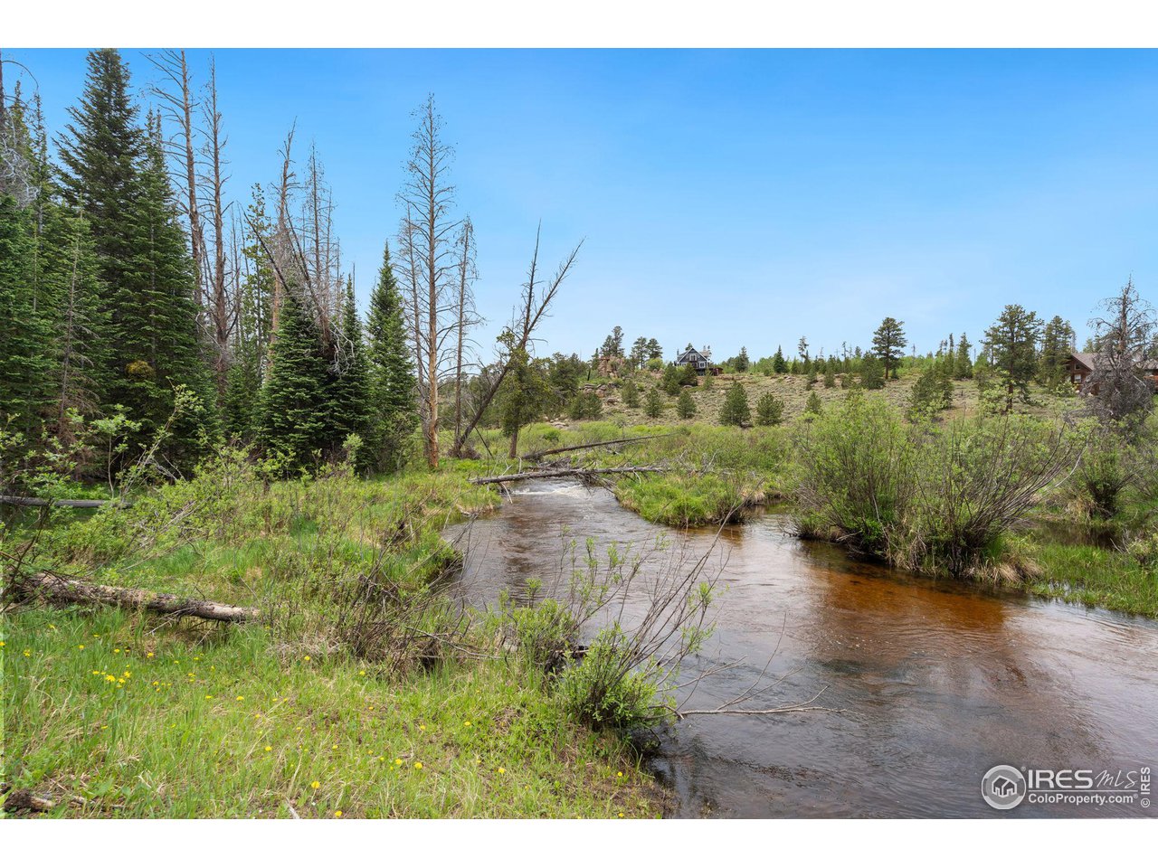 359 Huron Road Red Feather Lakes, CO 80545 - Photo 33 of 35 The river near the property