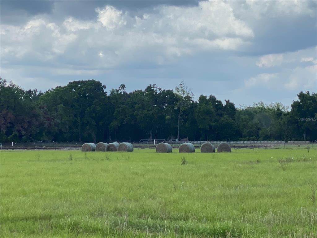 0 Sr 345 Chiefland, FL 32626 - Photo 18 of 67 a view of a green field with wooden fence
