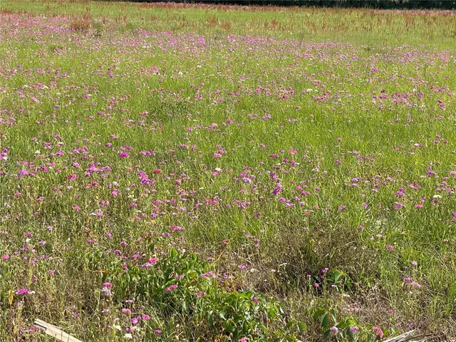 a view of outdoor space with field and trees in the background