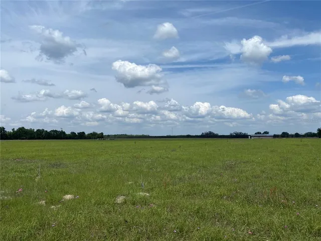 a view of a backyard with a large pool