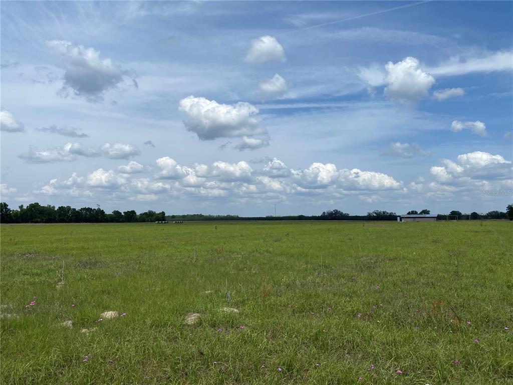 0 Sr 345 Chiefland, FL 32626 - Photo 20 of 67