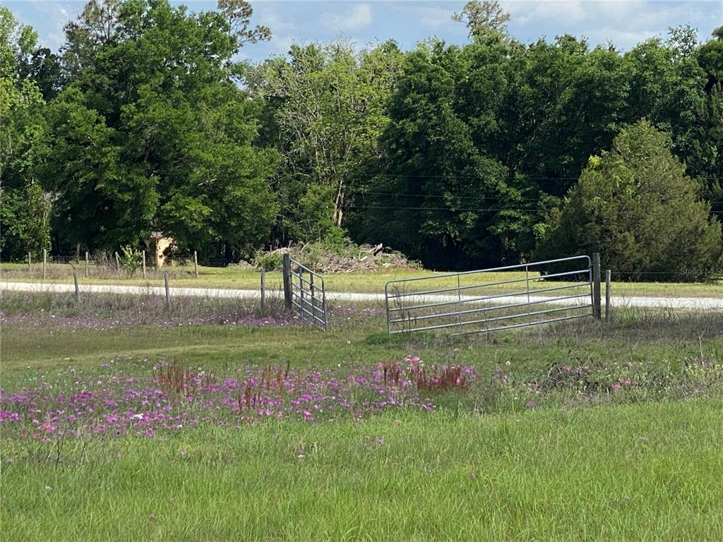 0 Sr 345 Chiefland, FL 32626 - Photo 22 of 67