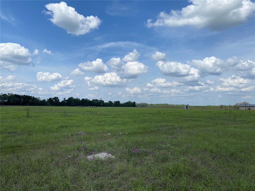 0 Sr 345 Chiefland, FL 32626 - Photo 23 of 67 a view of a big yard with lots of green space and lake view