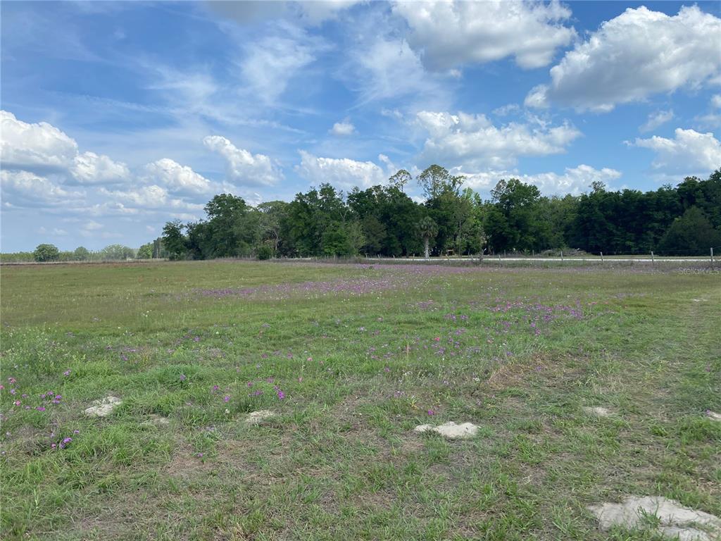 0 Sr 345 Chiefland, FL 32626 - Photo 27 of 67 a view of outdoor space with field and trees in the background