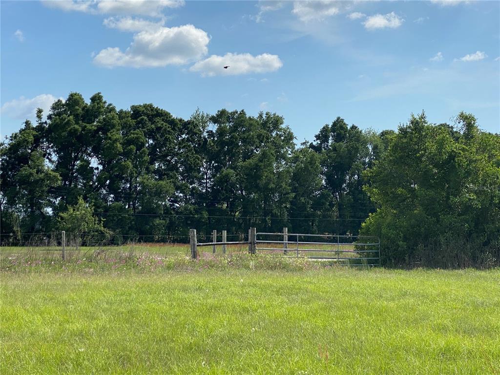 0 Sr 345 Chiefland, FL 32626 - Photo 29 of 67 a backyard of a house with lots of green space