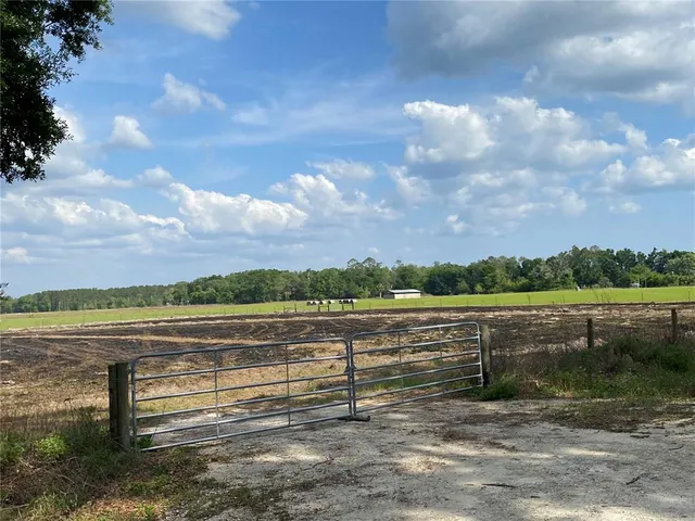a view of a yard in front of a house