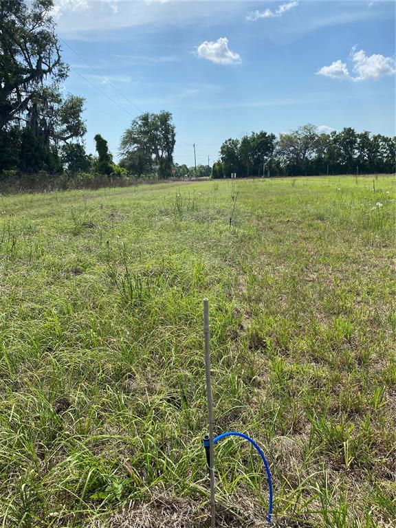 0 Sr 345 Chiefland, FL 32626 - Photo 35 of 67