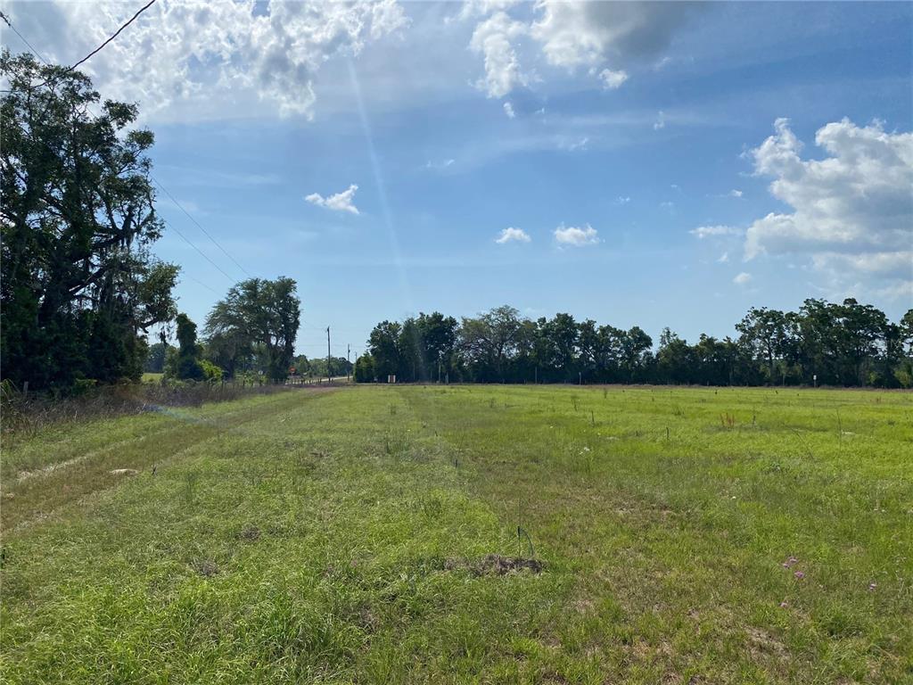 0 Sr 345 Chiefland, FL 32626 - Photo 41 of 67