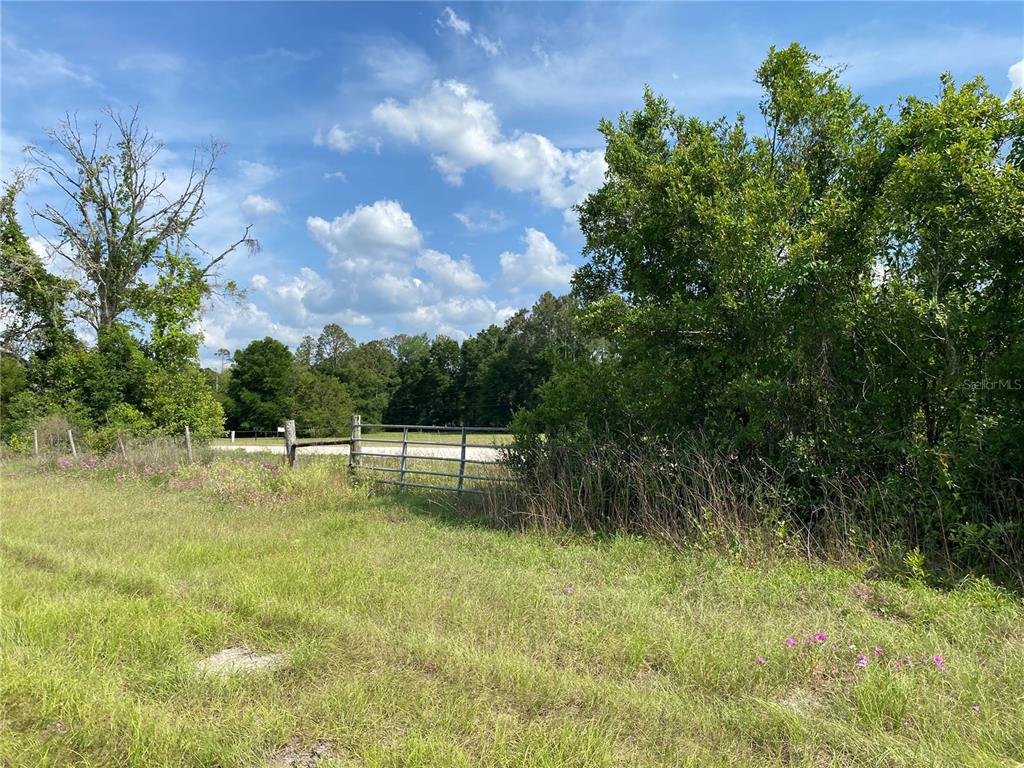 0 Sr 345 Chiefland, FL 32626 - Photo 44 of 67 a view of a yard with a tree