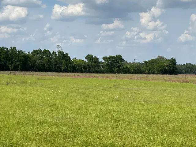 a view of a water pond with lots of green space