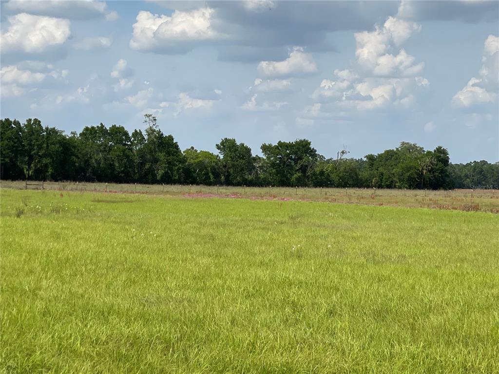 0 Sr 345 Chiefland, FL 32626 - Photo 46 of 67 a view of a lake