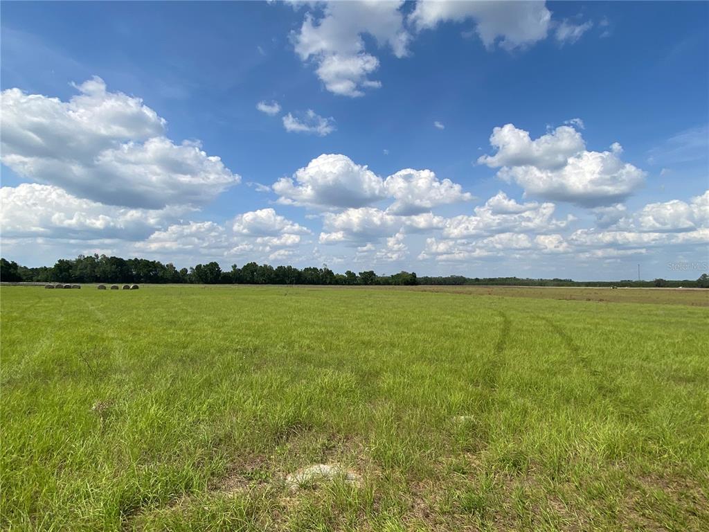0 Sr 345 Chiefland, FL 32626 - Photo 47 of 67 a view of yard and ocean
