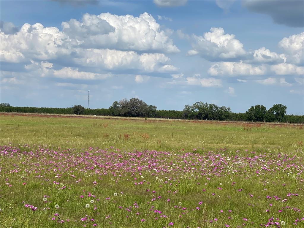 0 Sr 345 Chiefland, FL 32626 - Photo 49 of 67 a view of a lake from a yard