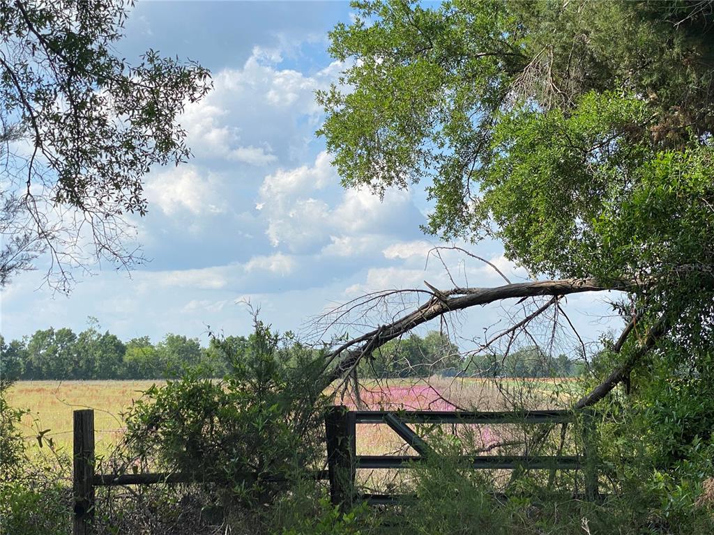 0 Sr 345 Chiefland, FL 32626 - Photo 52 of 67 a view of a lake from a balcony