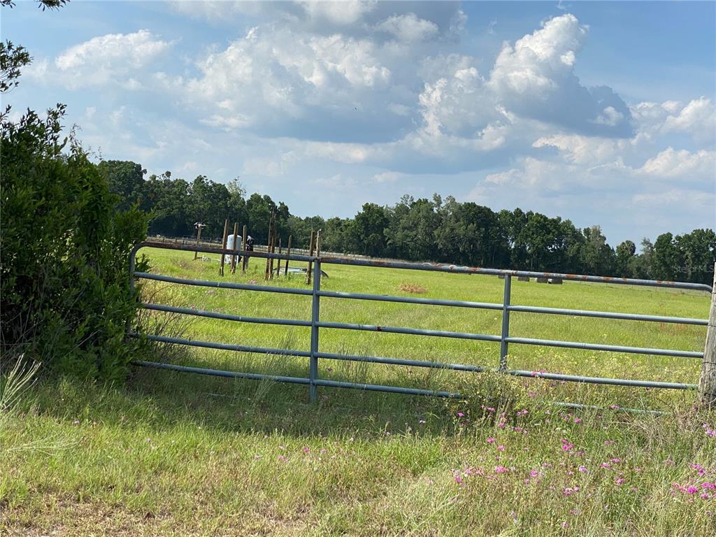 0 Sr 345 Chiefland, FL 32626 - Photo 53 of 67