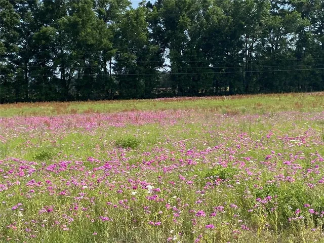 $880,000 | 0 Sr 345, Chiefland, FL 32626