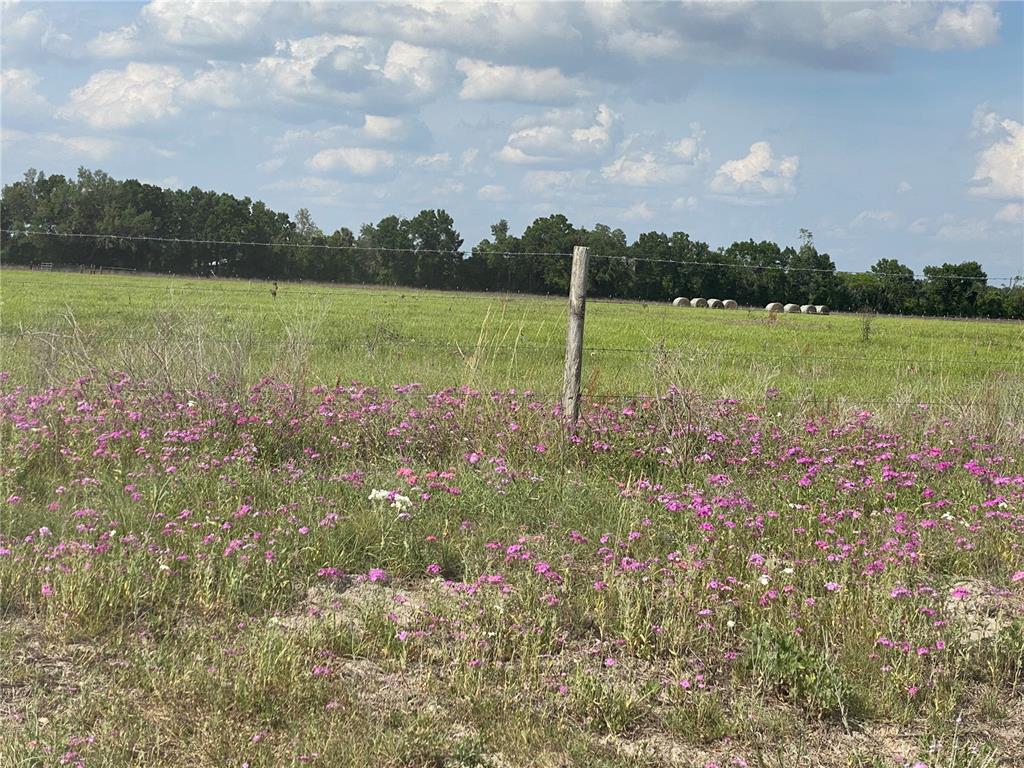 0 Sr 345 Chiefland, FL 32626 - Photo 55 of 67 a view of a lake with a big yard