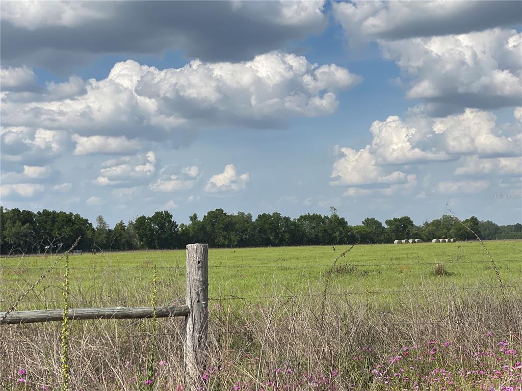 0 Sr 345 Chiefland, FL 32626 - Photo 56 of 67 a view of lake with mountain in the back