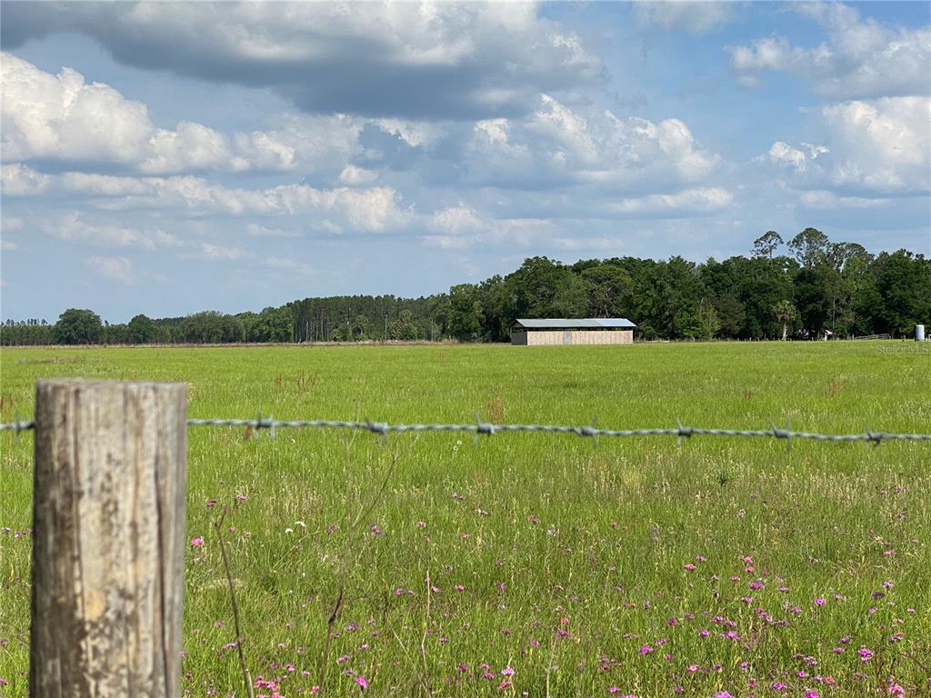 0 Sr 345 Chiefland, FL 32626 - Photo 57 of 67 a view of a lake with a big yard