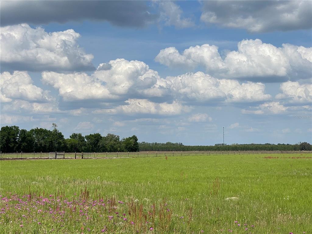 0 Sr 345 Chiefland, FL 32626 - Photo 59 of 67