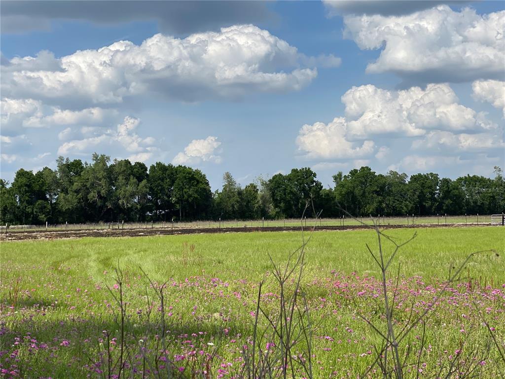 0 Sr 345 Chiefland, FL 32626 - Photo 60 of 67 a view of an outdoor space and a yard