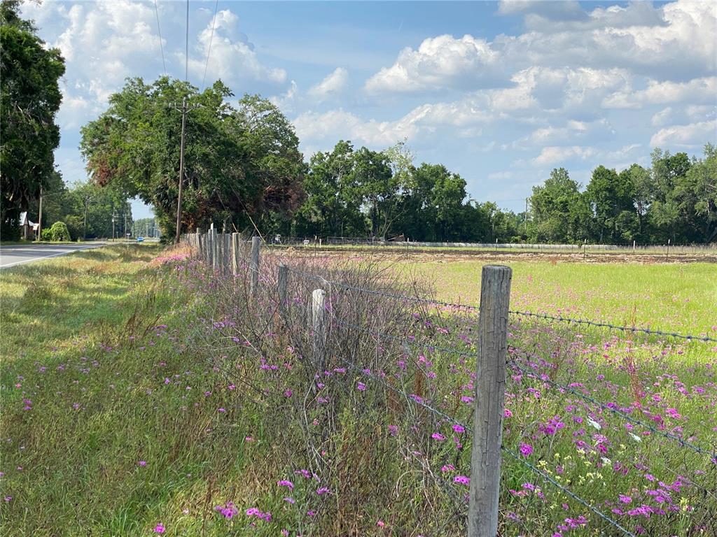 0 Sr 345 Chiefland, FL 32626 - Photo 62 of 67 a view of a water pond with lots of green space