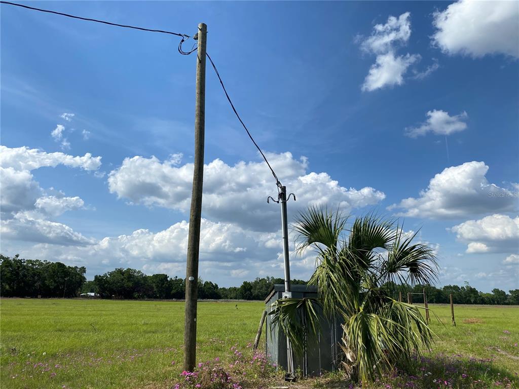 0 Sr 345 Chiefland, FL 32626 - Photo 8 of 67 a view of a yard with a tree in the background
