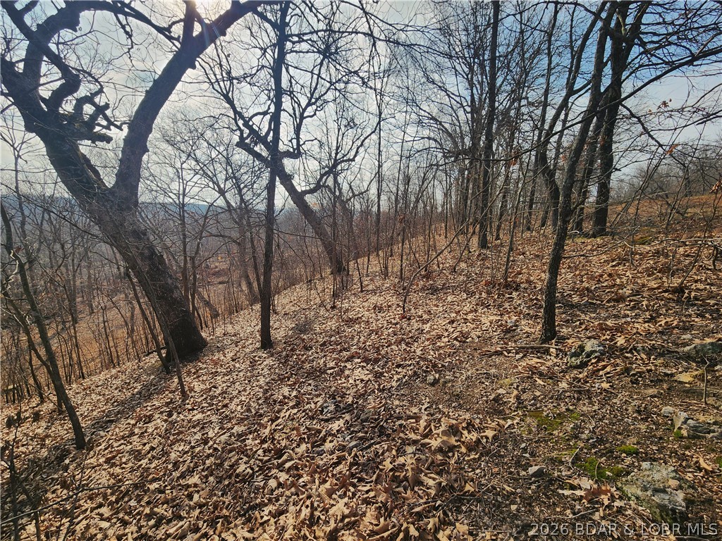 Lot 7 State J Road Camdenton, MO 65020 - Photo 18 of 32