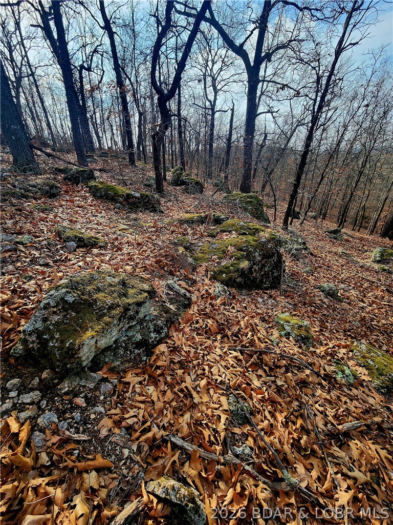 Lot 7 State J Road Camdenton, MO 65020 - Photo 21 of 32