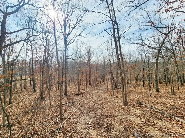 $58,984 | Lot 7 State J Road, Camdenton, MO 65020