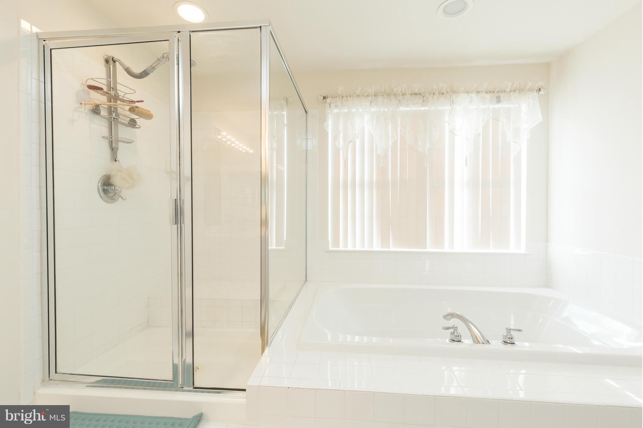 2310 Manor Spring Terrace Silver Spring, MD 20906 - Photo 22 of 30 Bath (Master)
