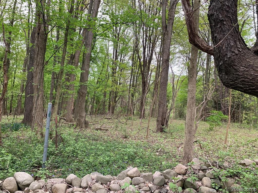 4-acres Middle Road Highland, MI 48357 - Photo 2 of 3