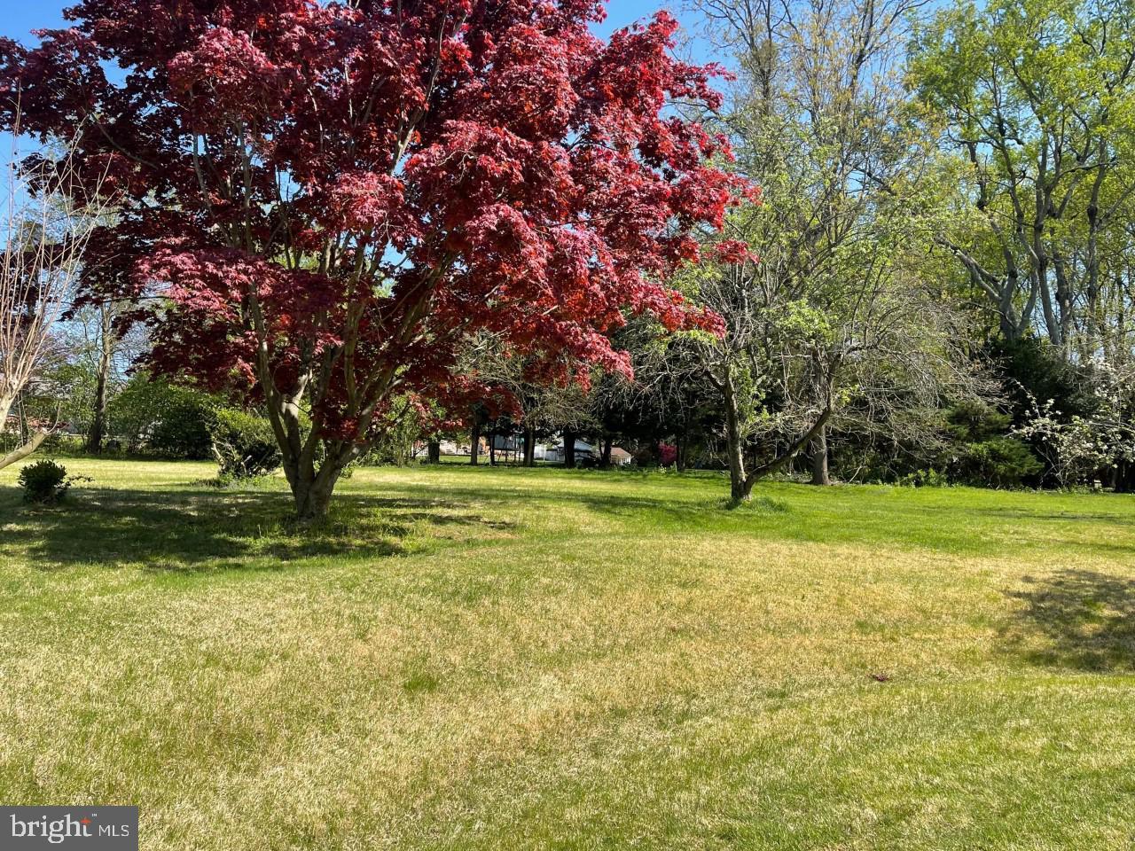 2609 Reckord Road Kingsville, MD 21087 - Photo 4 of 50 View of Property