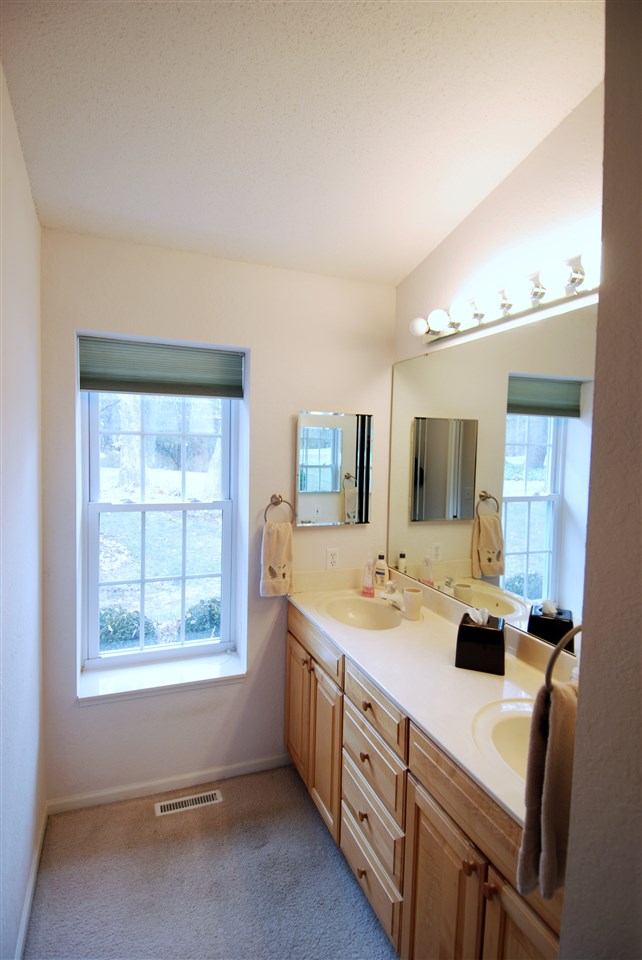 10018 East Campbell Road Davis, IL 61019 - Photo 9 of 15 a bathroom with a granite countertop sink a large mirror and a window