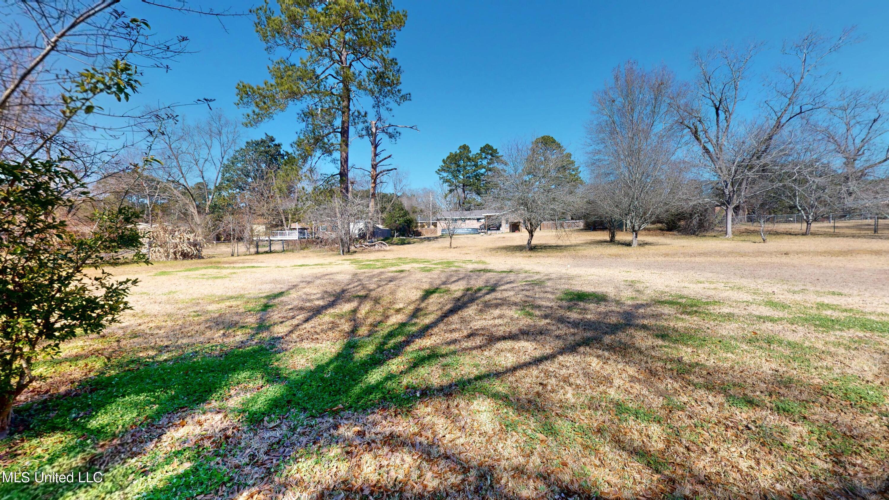 1002 Pecan Lane Tylertown, MS 39667 - Photo 52 of 59 1002-Pecan-Ln-Tylertown-MS-39667-0204202