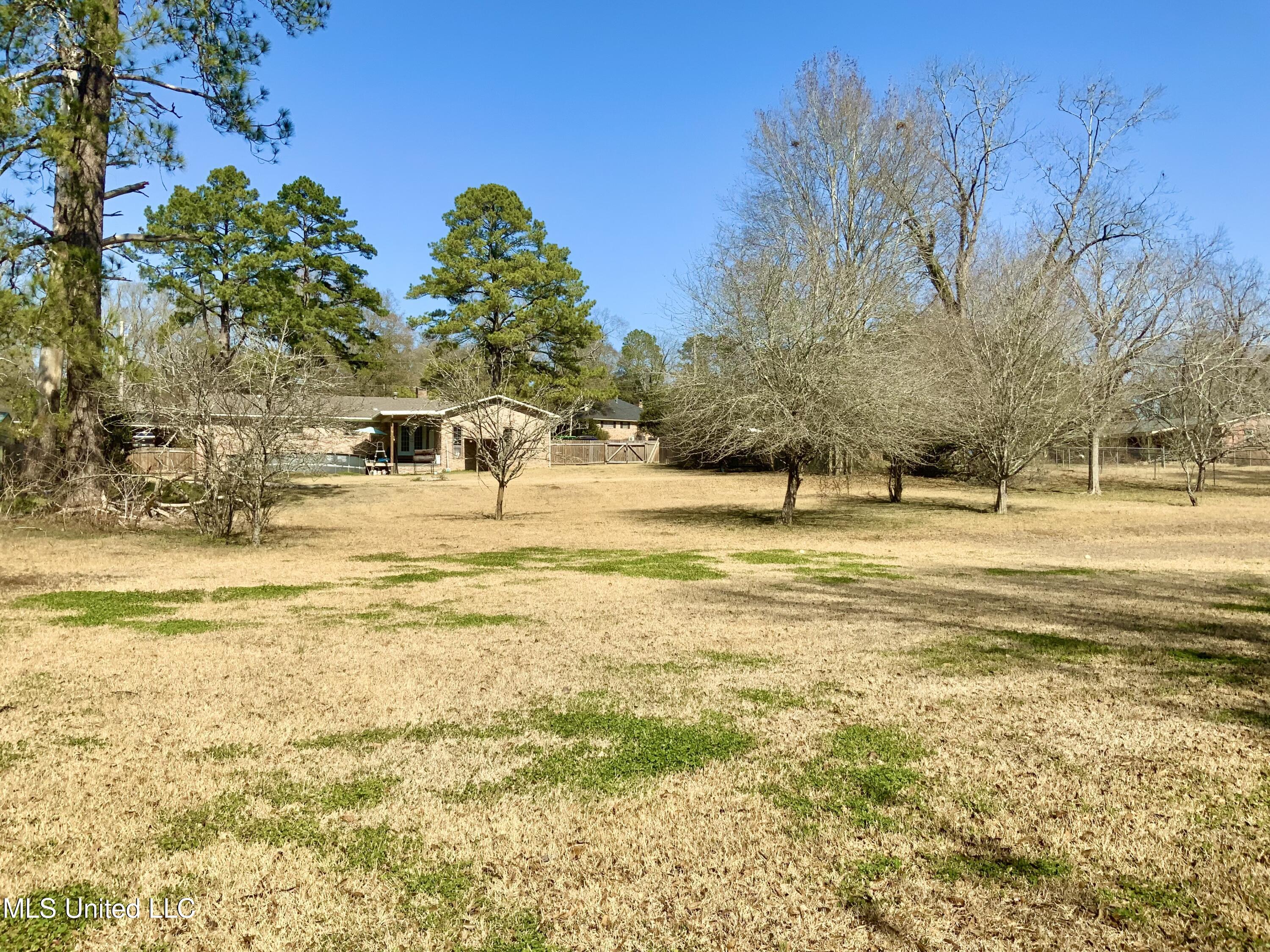 1002 Pecan Lane Tylertown, MS 39667 - Photo 58 of 59 IMG_1265