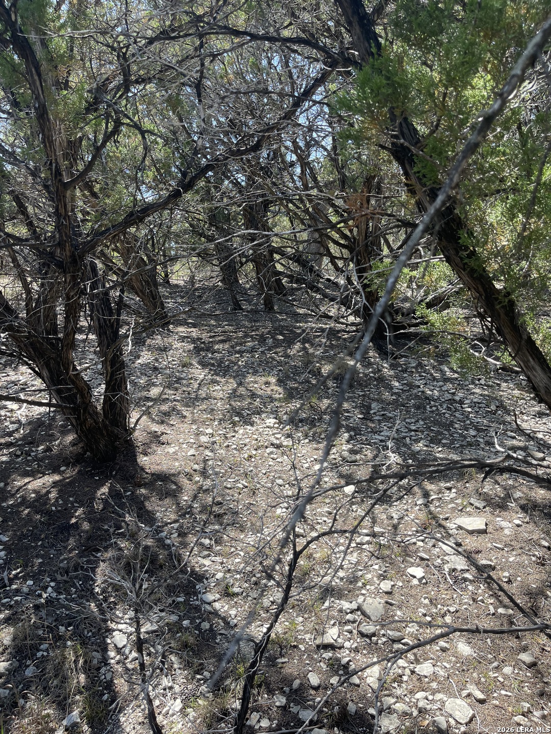 Lot 161 Bluff View Circle Bandera, TX 78003 - Photo 12 of 15