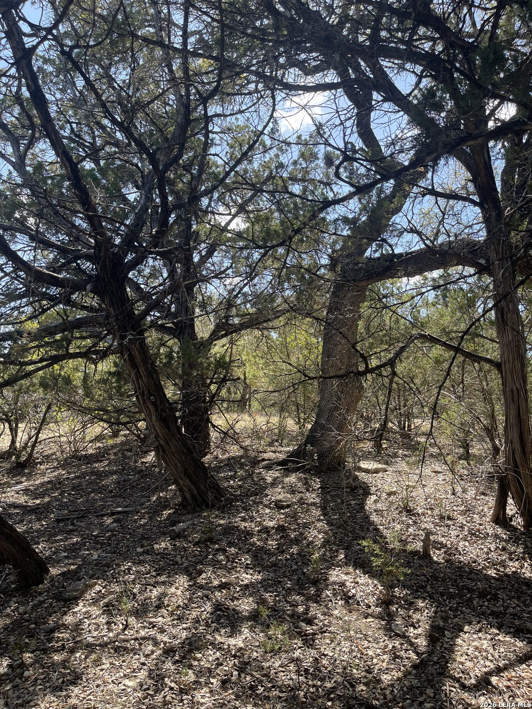 Lot 161 Bluff View Circle Bandera, TX 78003 - Photo 13 of 15